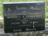 image of grave number 918515